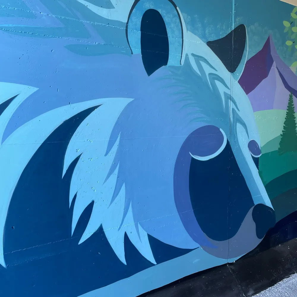 bearsghost1889.bsky.social's profile picture