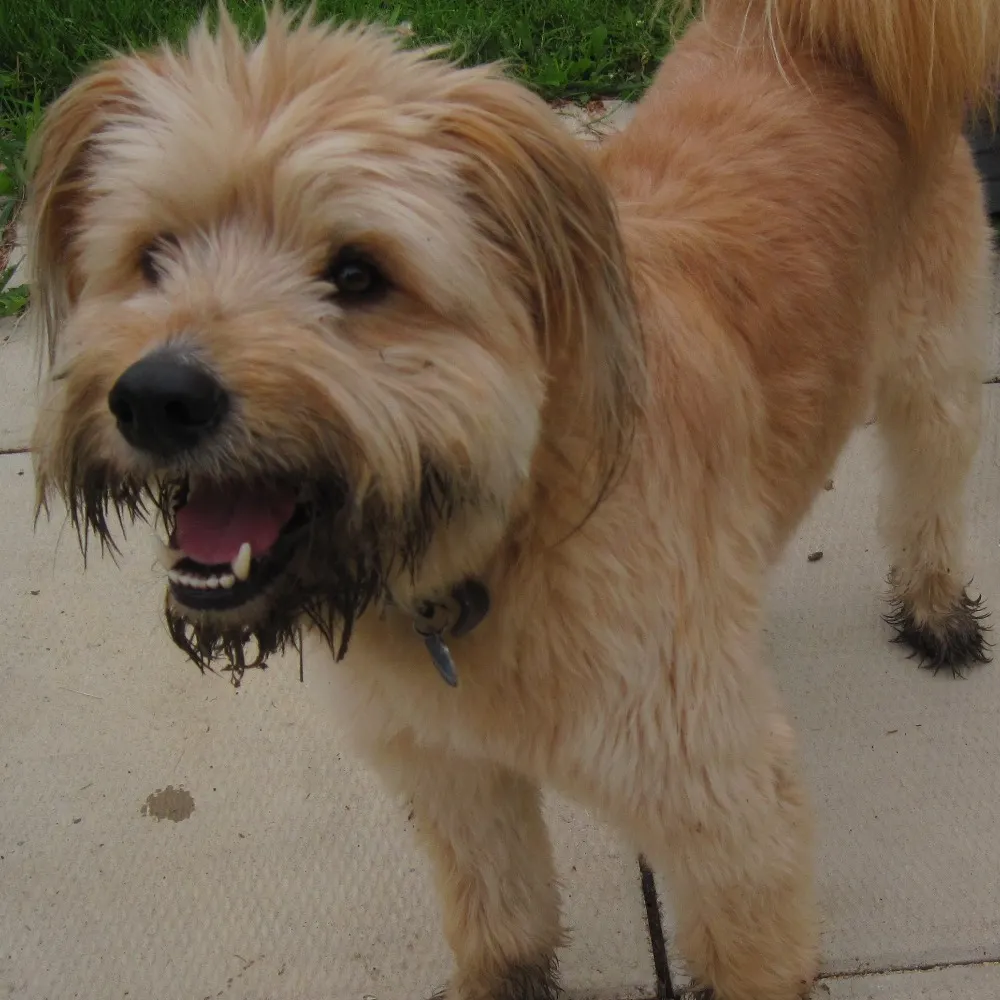 prairiegirl.bsky.social's profile picture