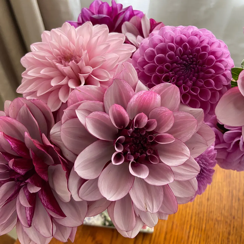 katem.bsky.social's profile picture