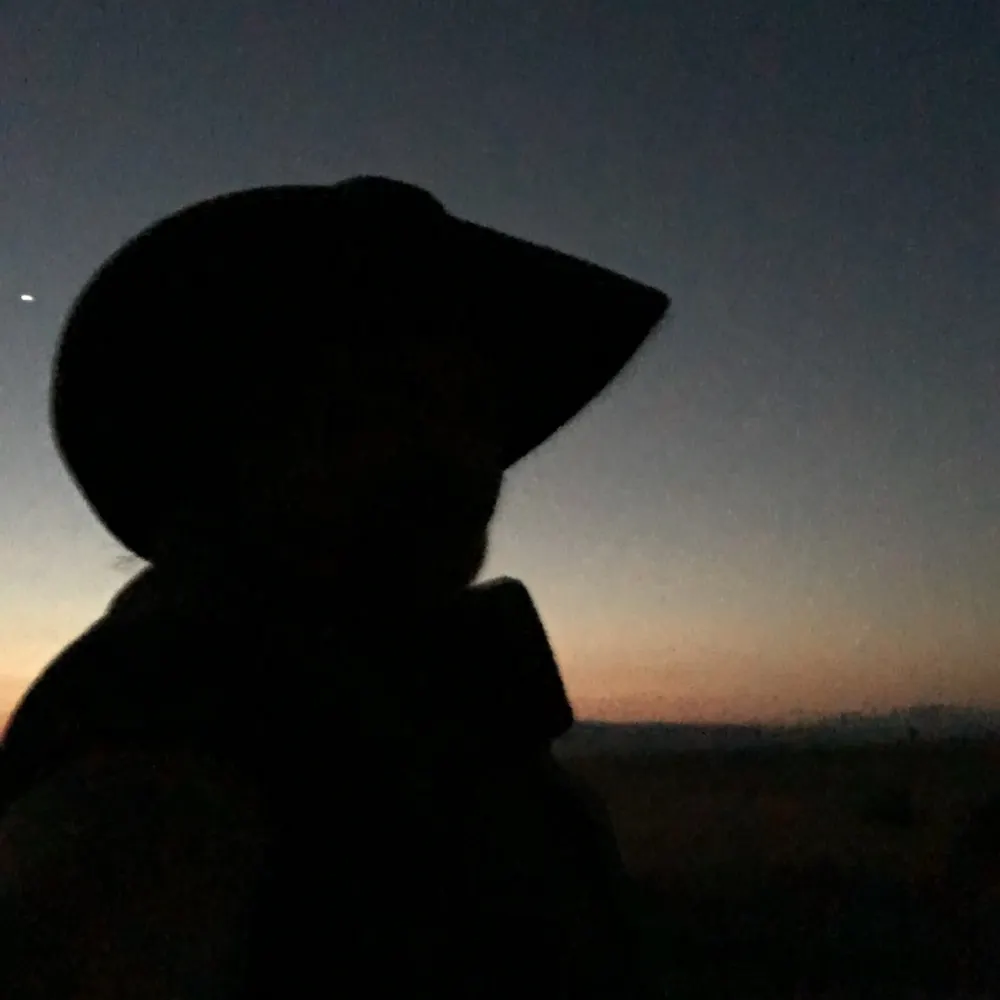 miketee.bsky.social's profile picture