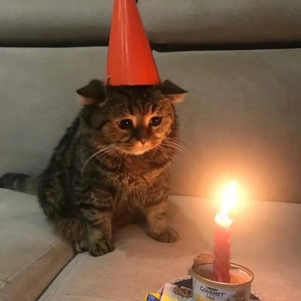 antiquequaalude.bsky.social's profile picture