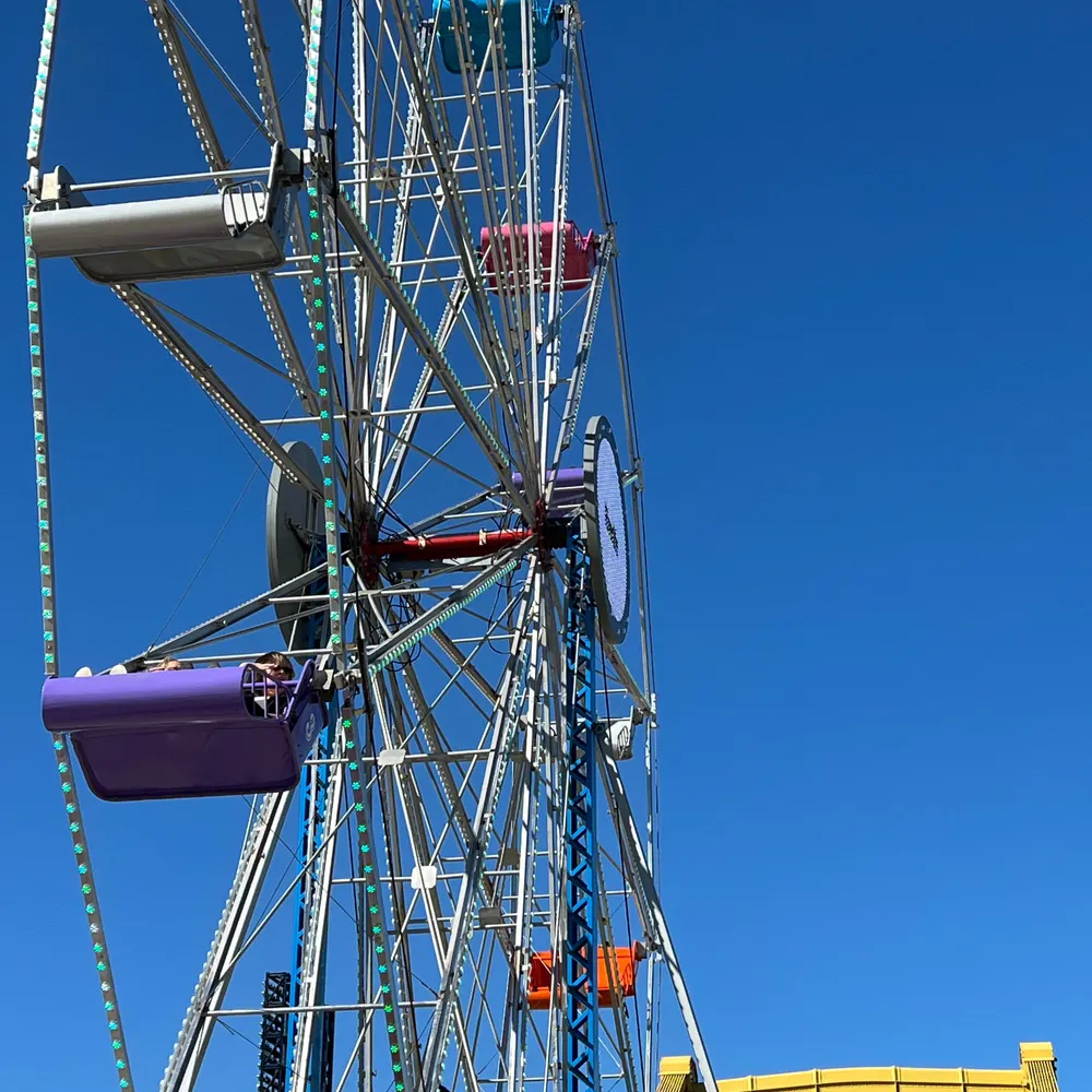 lotuslady19.bsky.social's profile picture