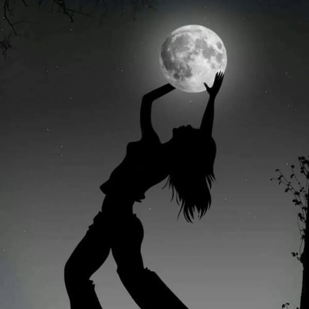 nomoremissnice.bsky.social's profile picture