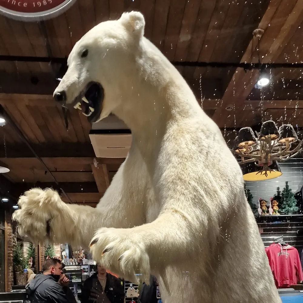 freddy1138.bsky.social's profile picture