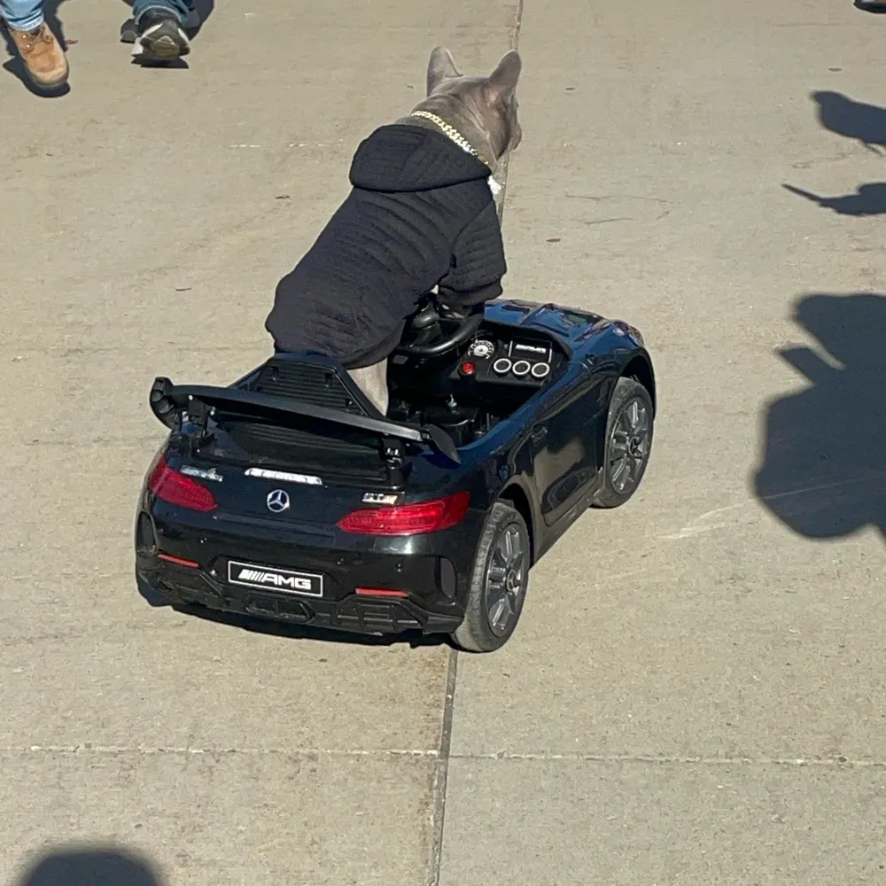 pyoung2.bsky.social's profile picture