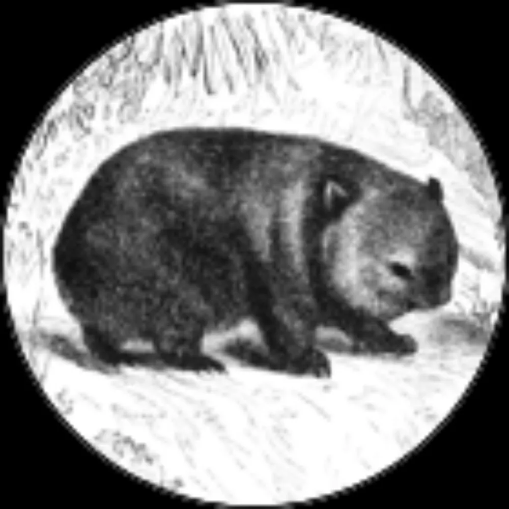 wombatmylove.bsky.social's profile picture