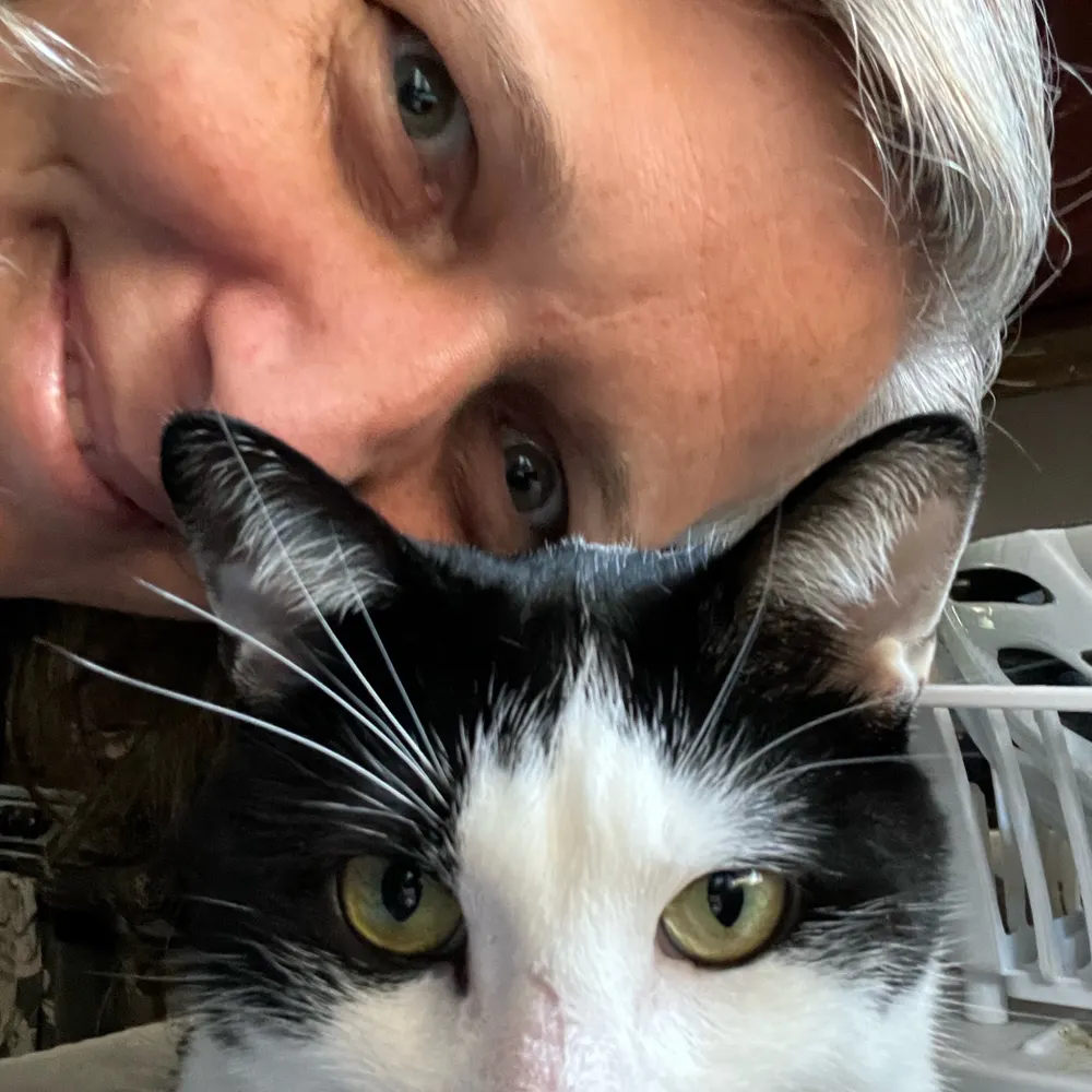 cooler-by-the-lake.bsky.social's profile picture