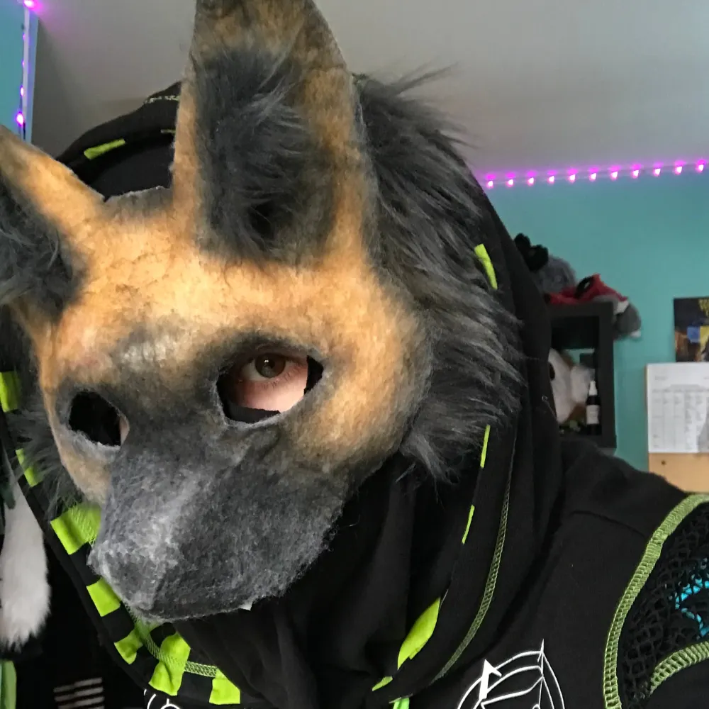 k9s-of-the-savior.bsky.social's profile picture