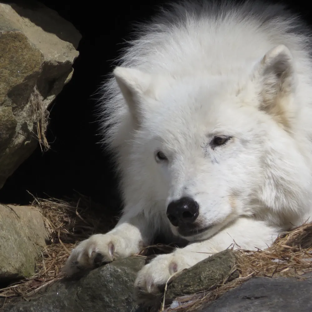 brianhprobert.bsky.social's profile picture