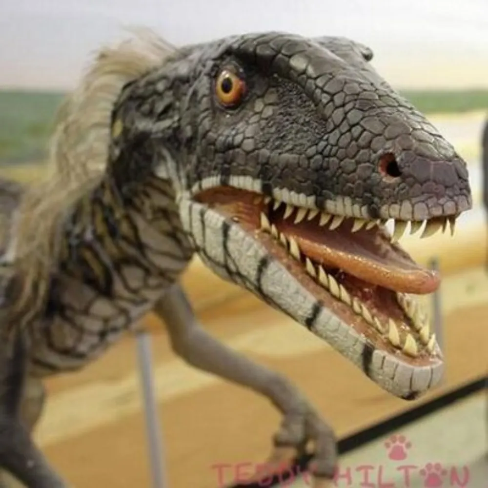 bobdawise.bsky.social's profile picture