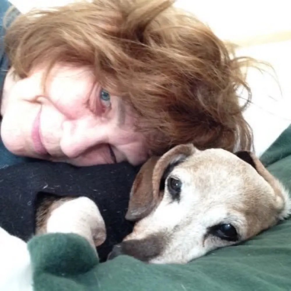 klc.bsky.social's profile picture