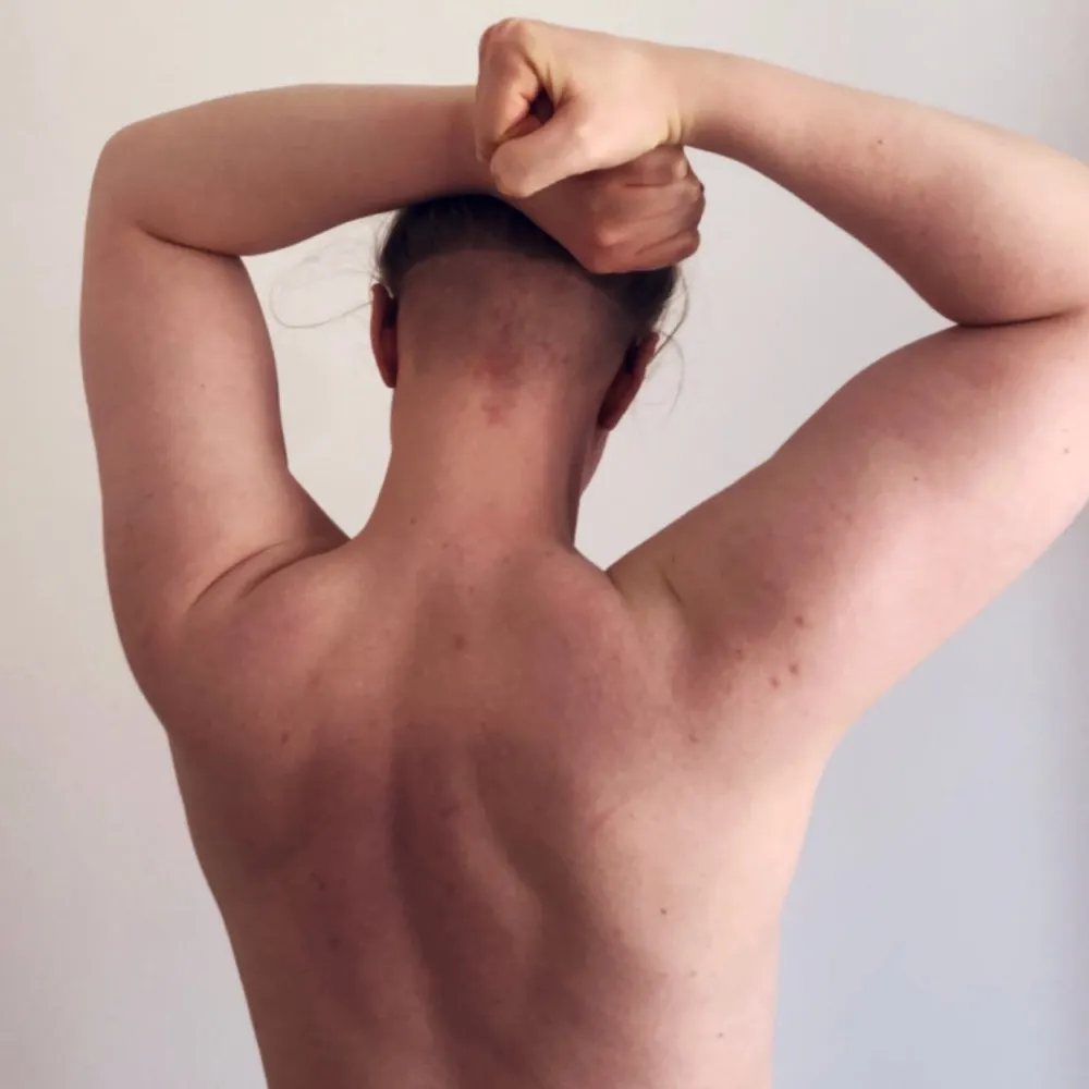 fireantprincess.bsky.social's profile picture