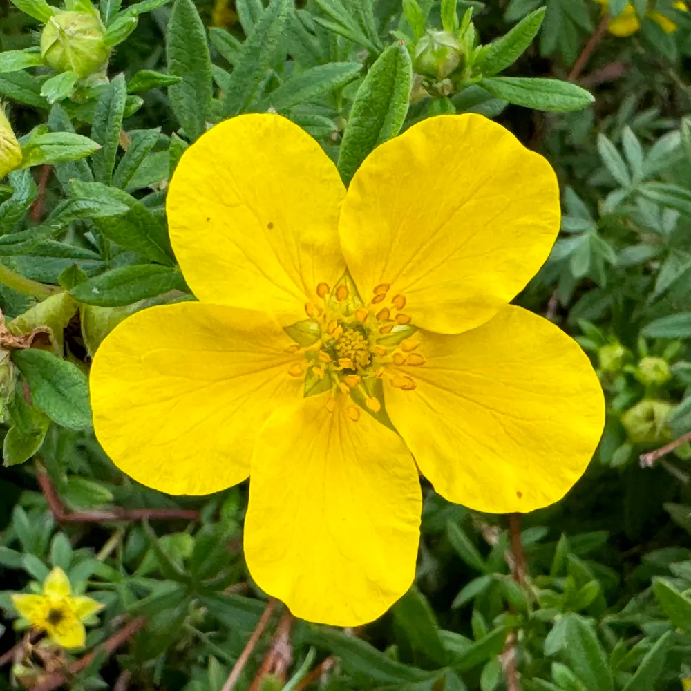 handsonthekeyboard.bsky.social's profile picture