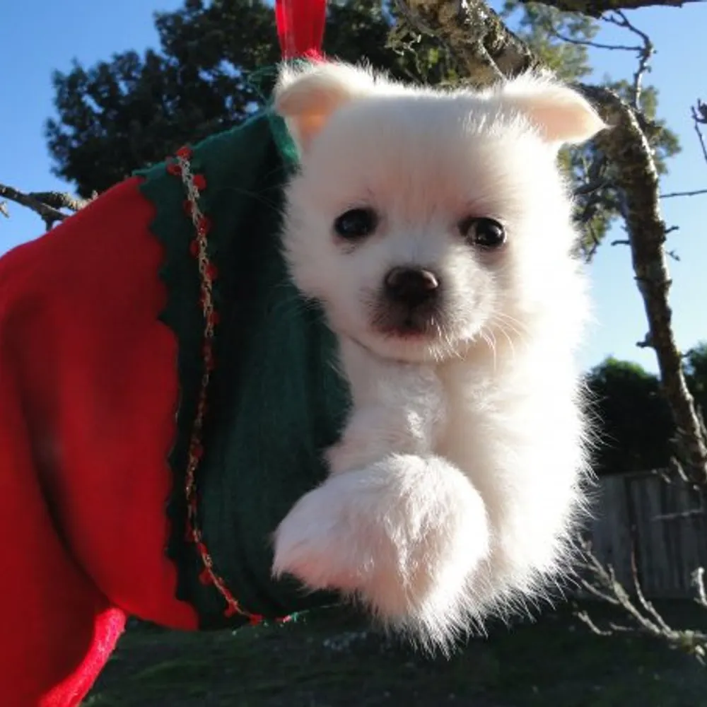 lilycrue.bsky.social's profile picture