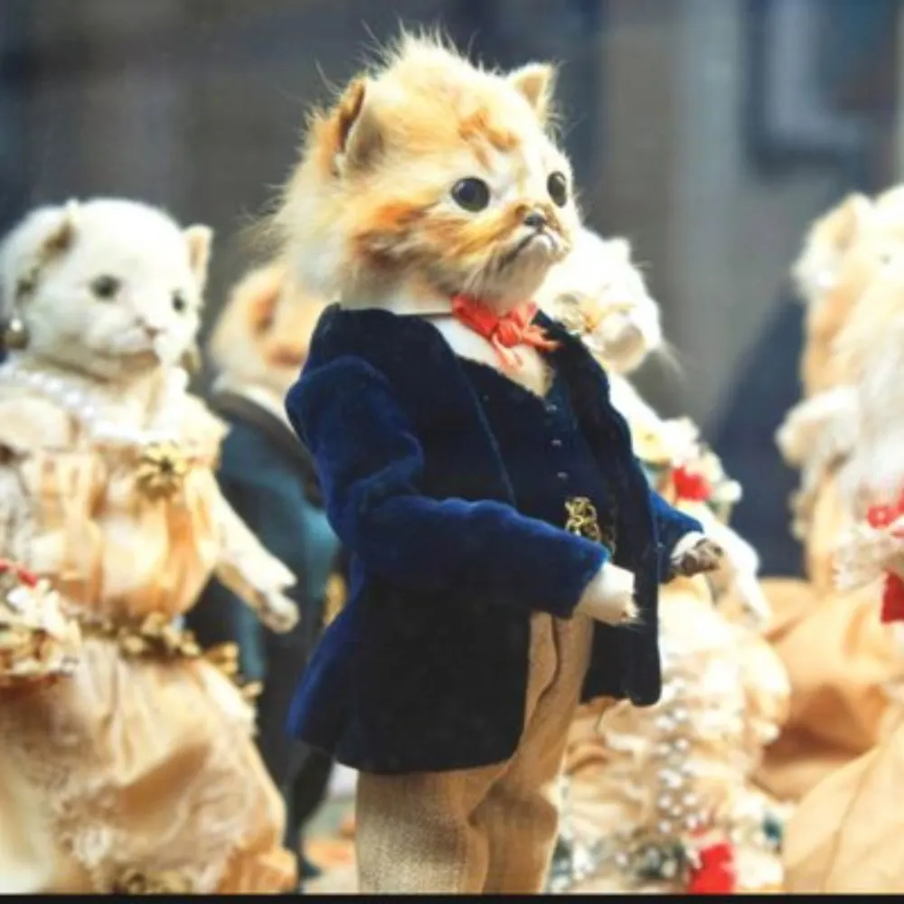 dangercart.bsky.social's profile picture