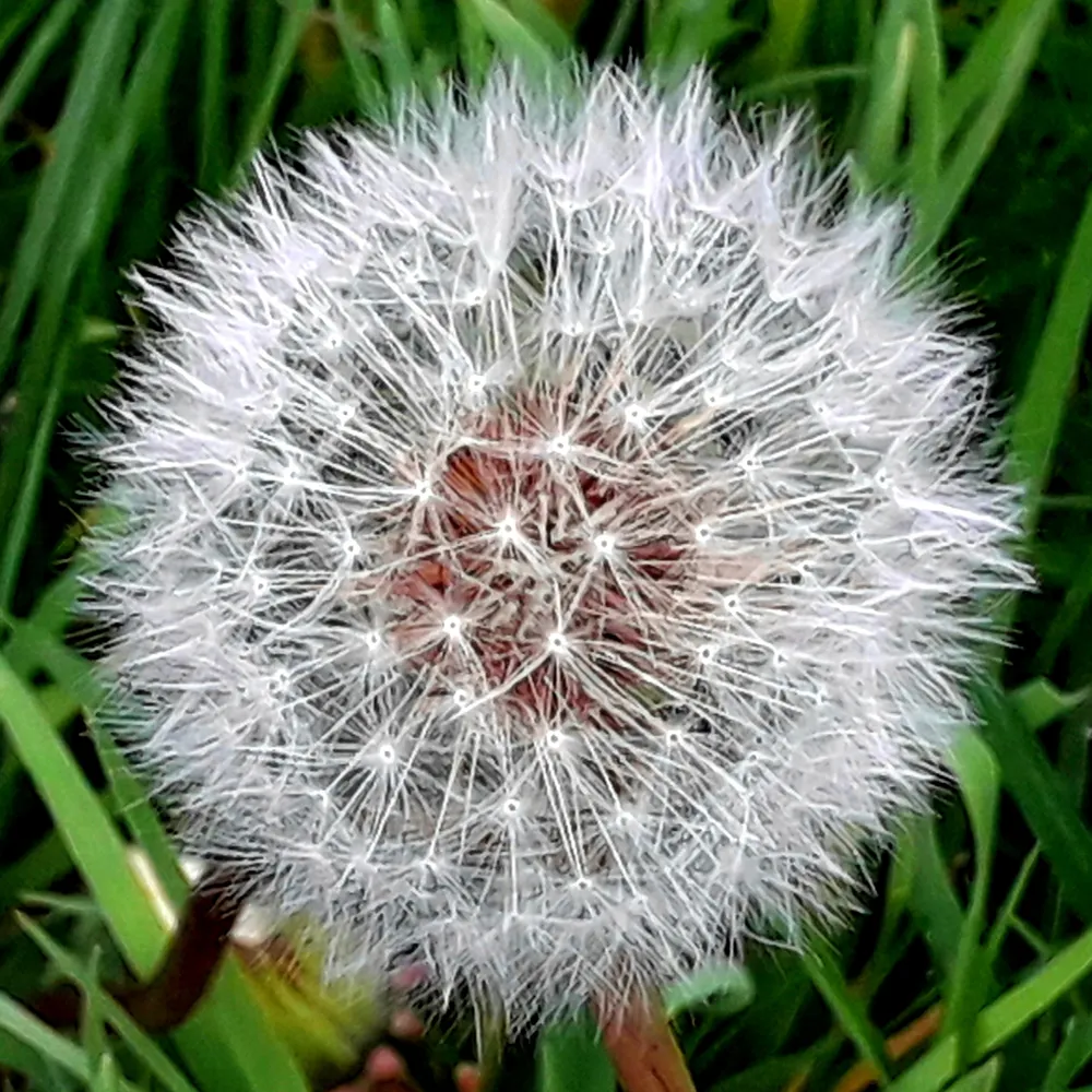 space-cadet-dom.bsky.social's profile picture