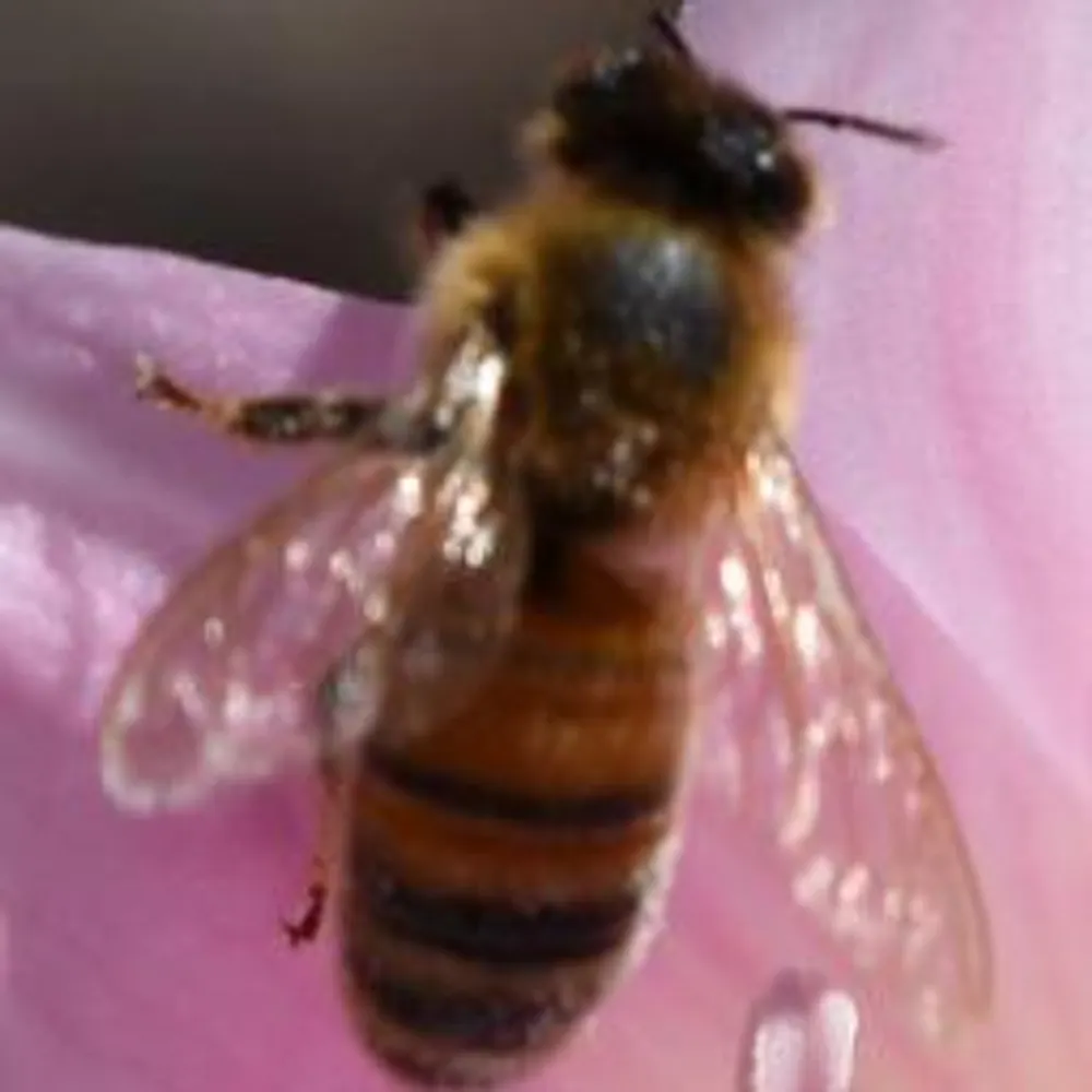 b-korb.bsky.social's profile picture