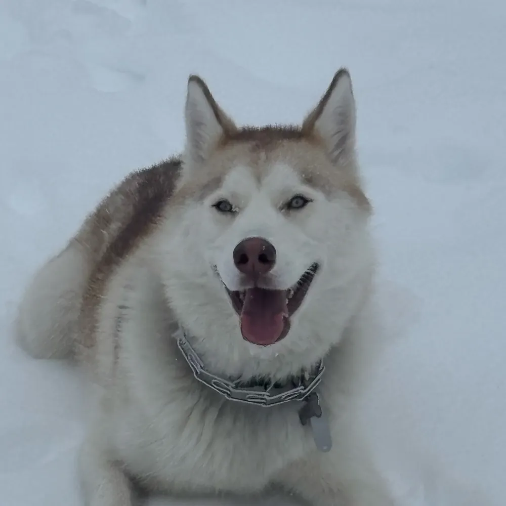 ld58esq.bsky.social's profile picture