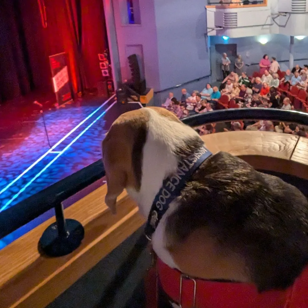 anzac69.bsky.social's profile picture