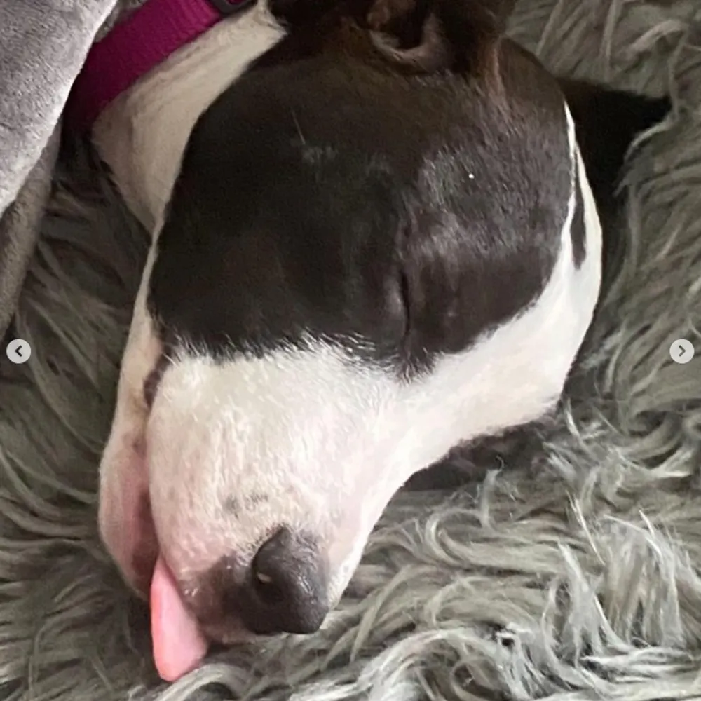 pinkney123.bsky.social's profile picture