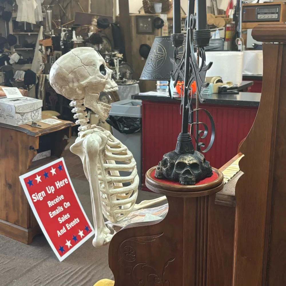 blankfacedstare.bsky.social's profile picture