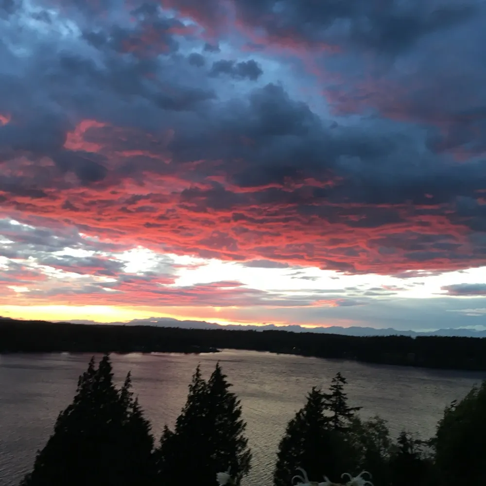 anniem2025.bsky.social's profile picture