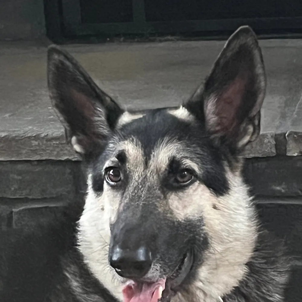 gettysburg2024.bsky.social's profile picture