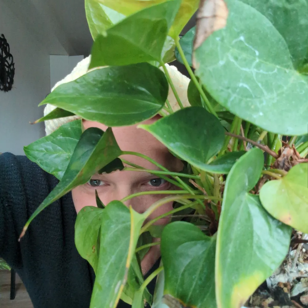 timothymorgangage.bsky.social's profile picture