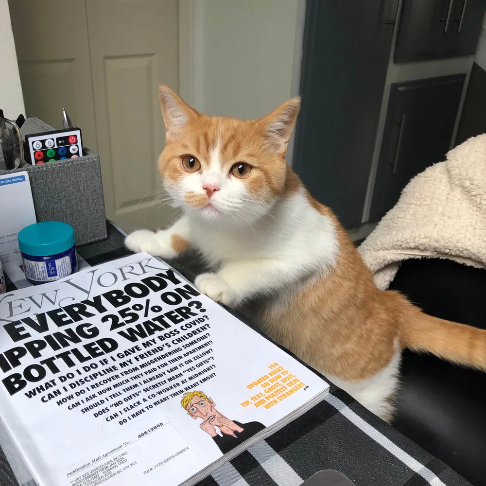 pinkmouse.bsky.social's profile picture