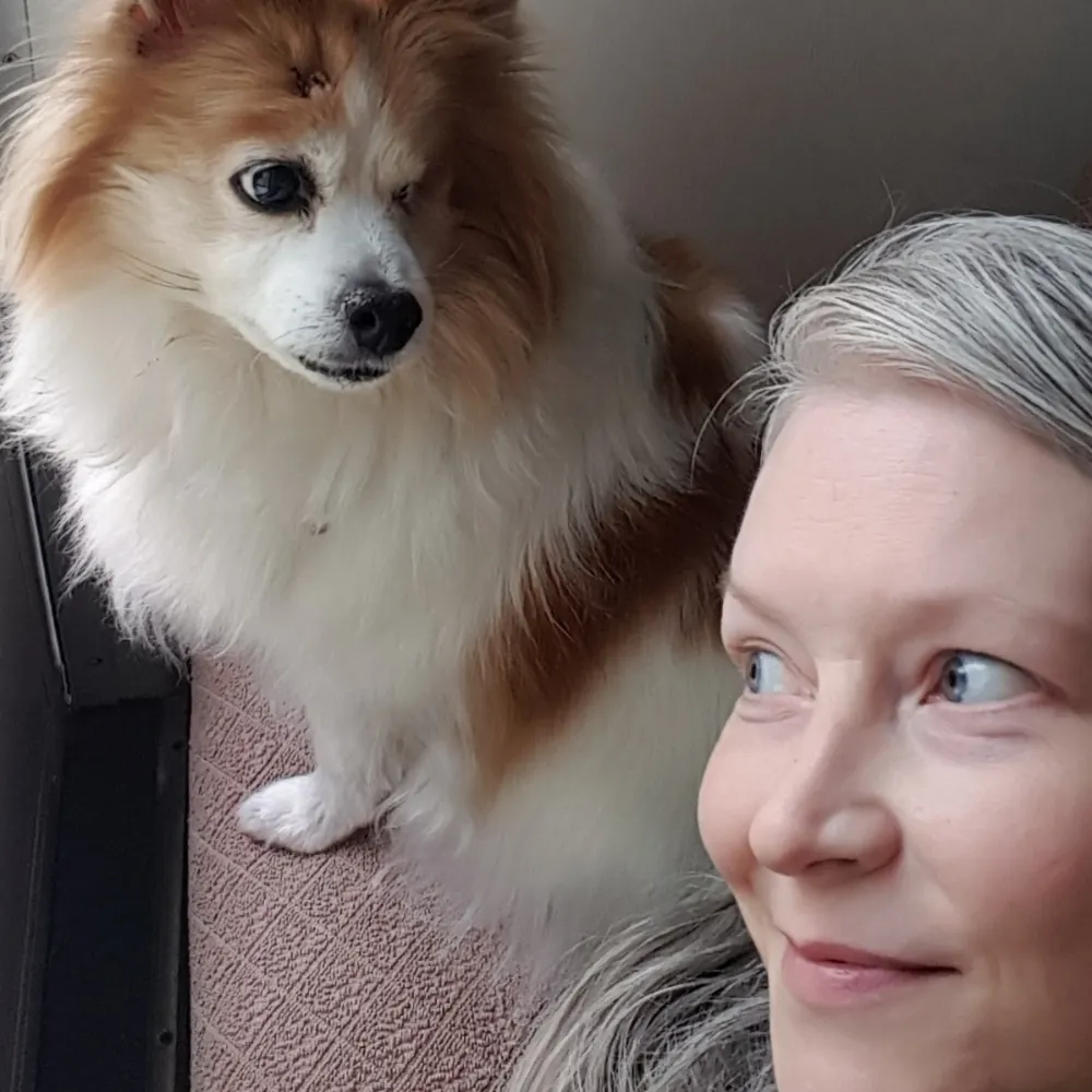 teegee.bsky.social's profile picture