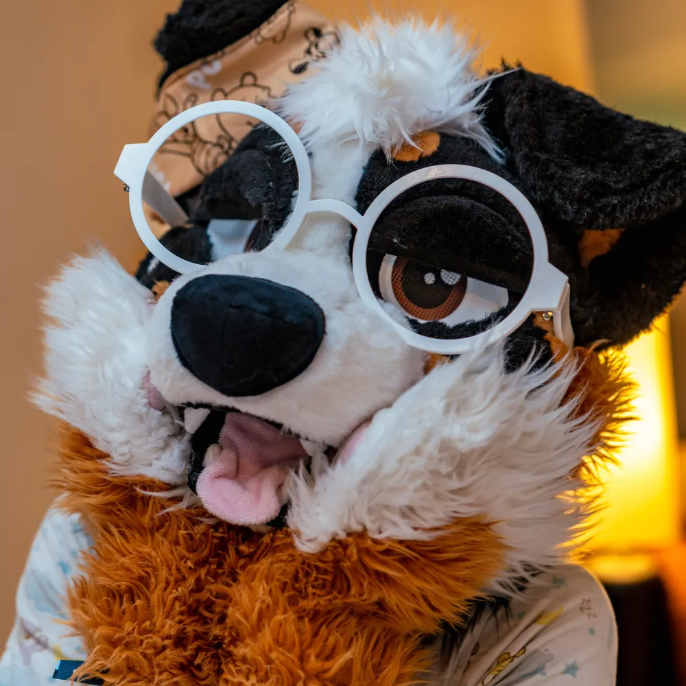 puppykibbo.bsky.social's profile picture