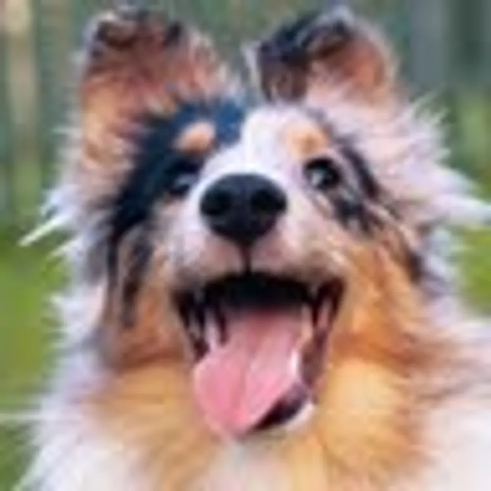 blur911.bsky.social's profile picture