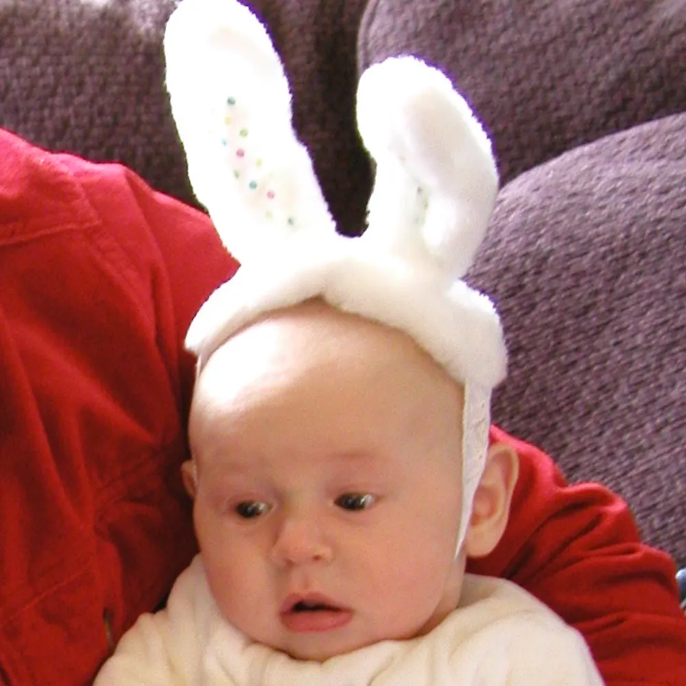 patbunny.bsky.social's profile picture