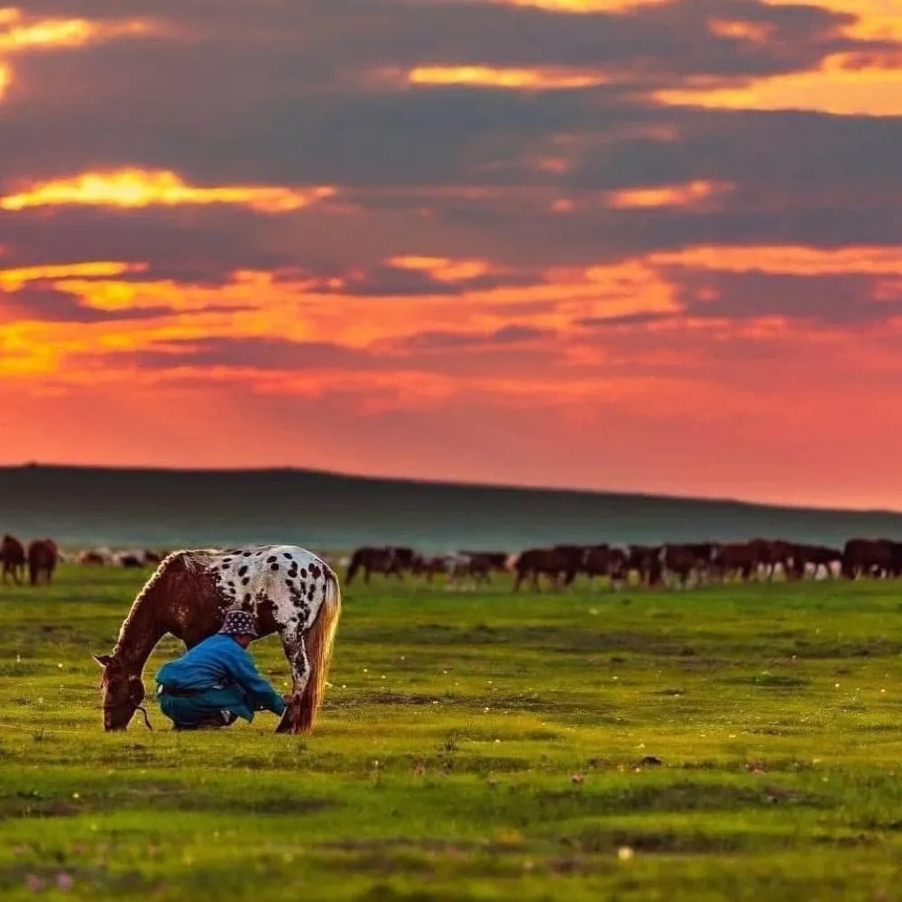 peedeelou.bsky.social's profile picture