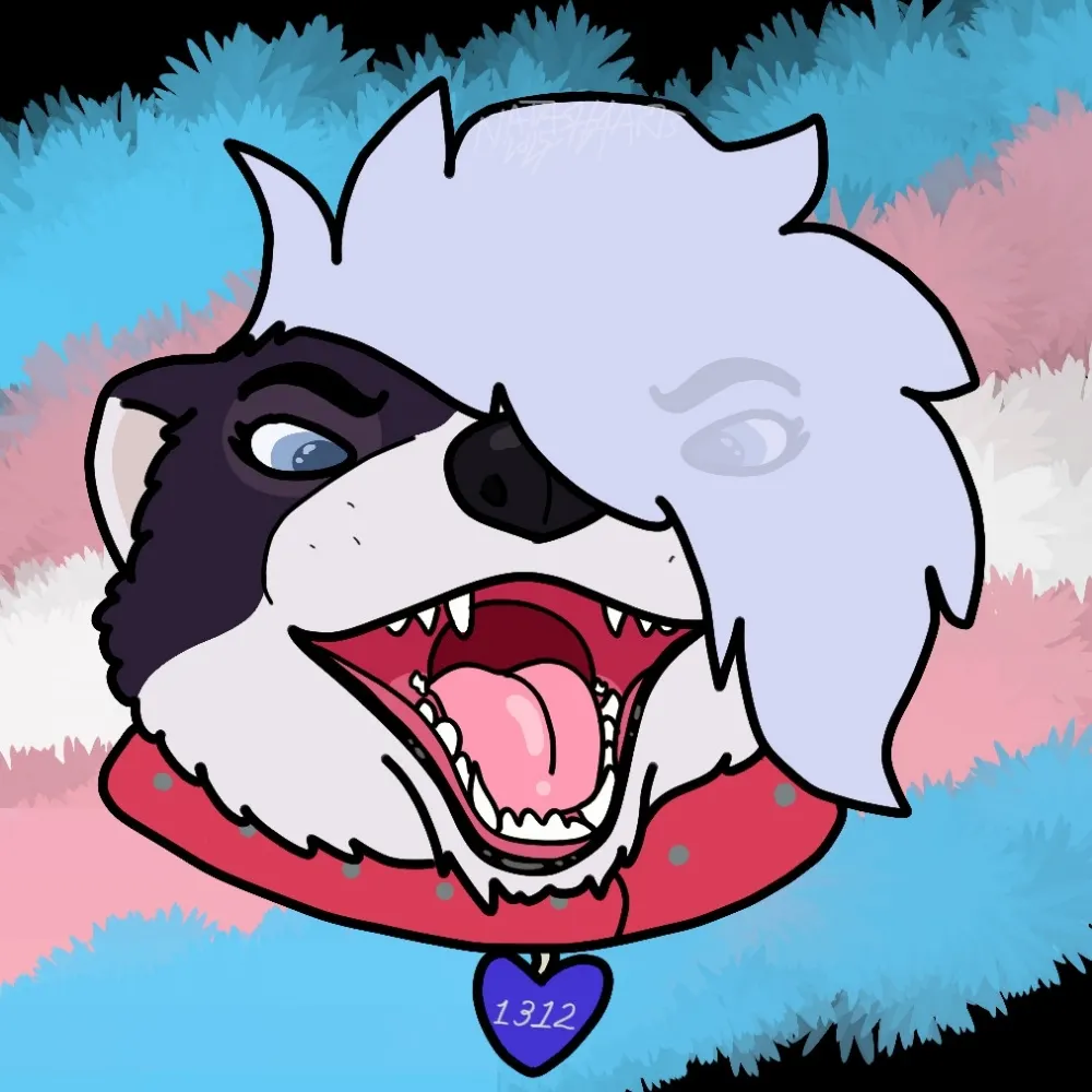 heli.pet's profile picture