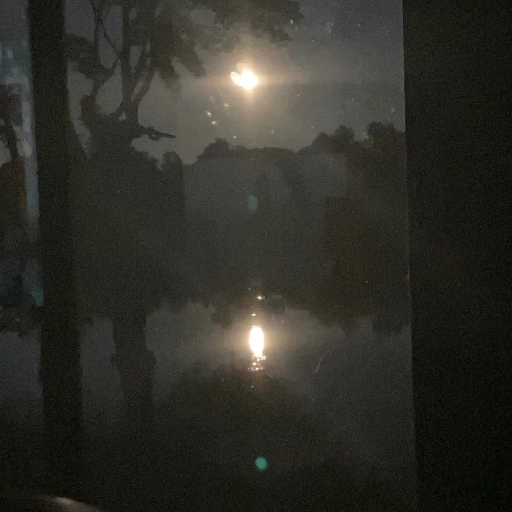 virginiap.bsky.social's profile picture