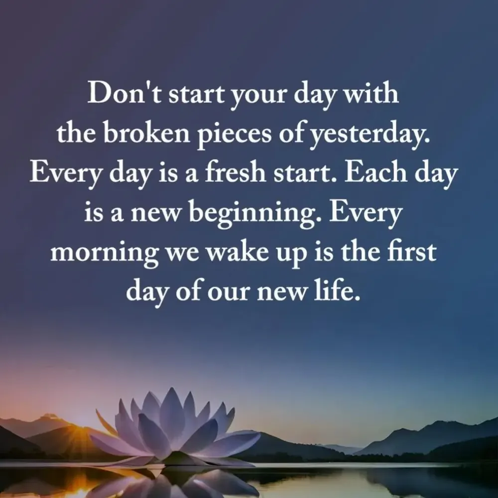 rokkineve.bsky.social's profile picture