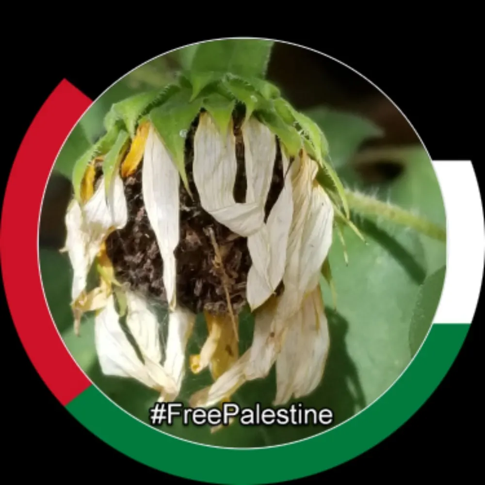 walkinginaustin.bsky.social's profile picture