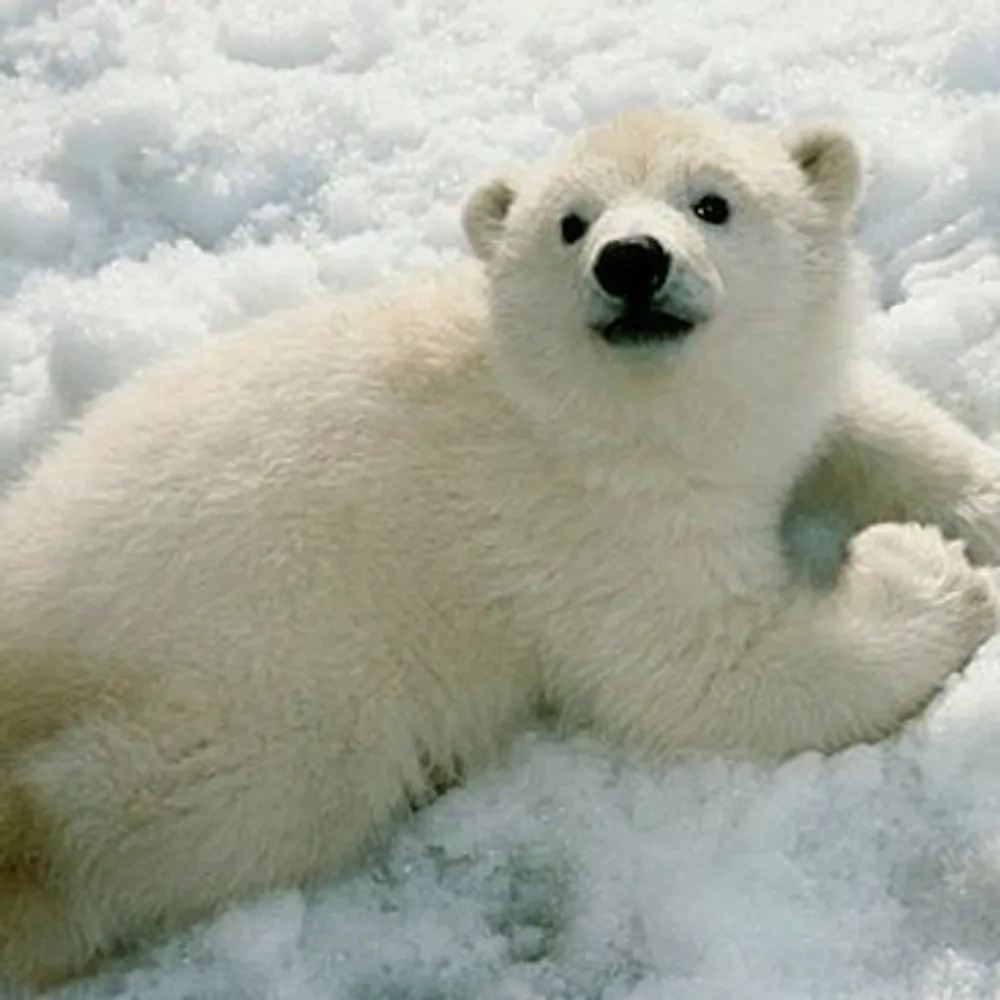 maryhilt.bsky.social's profile picture