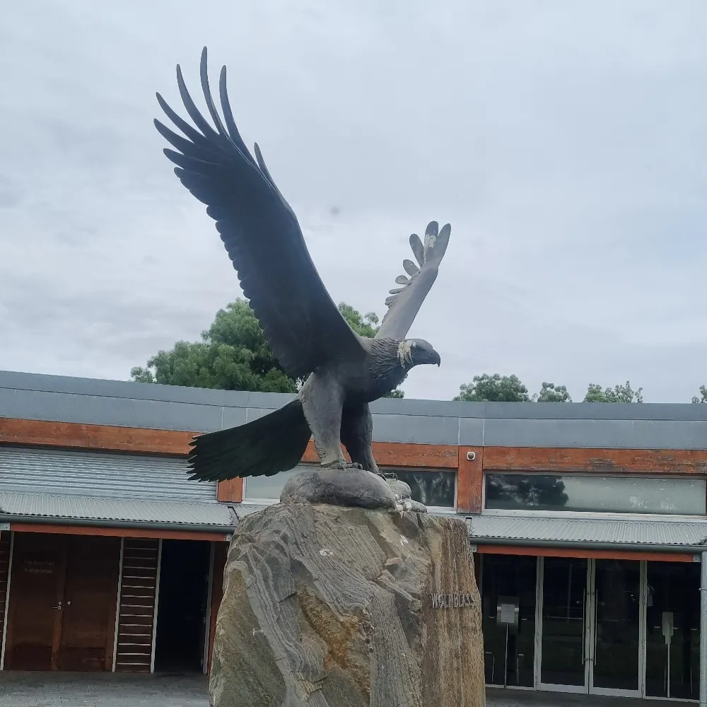 johno-rourke.bsky.social's profile picture