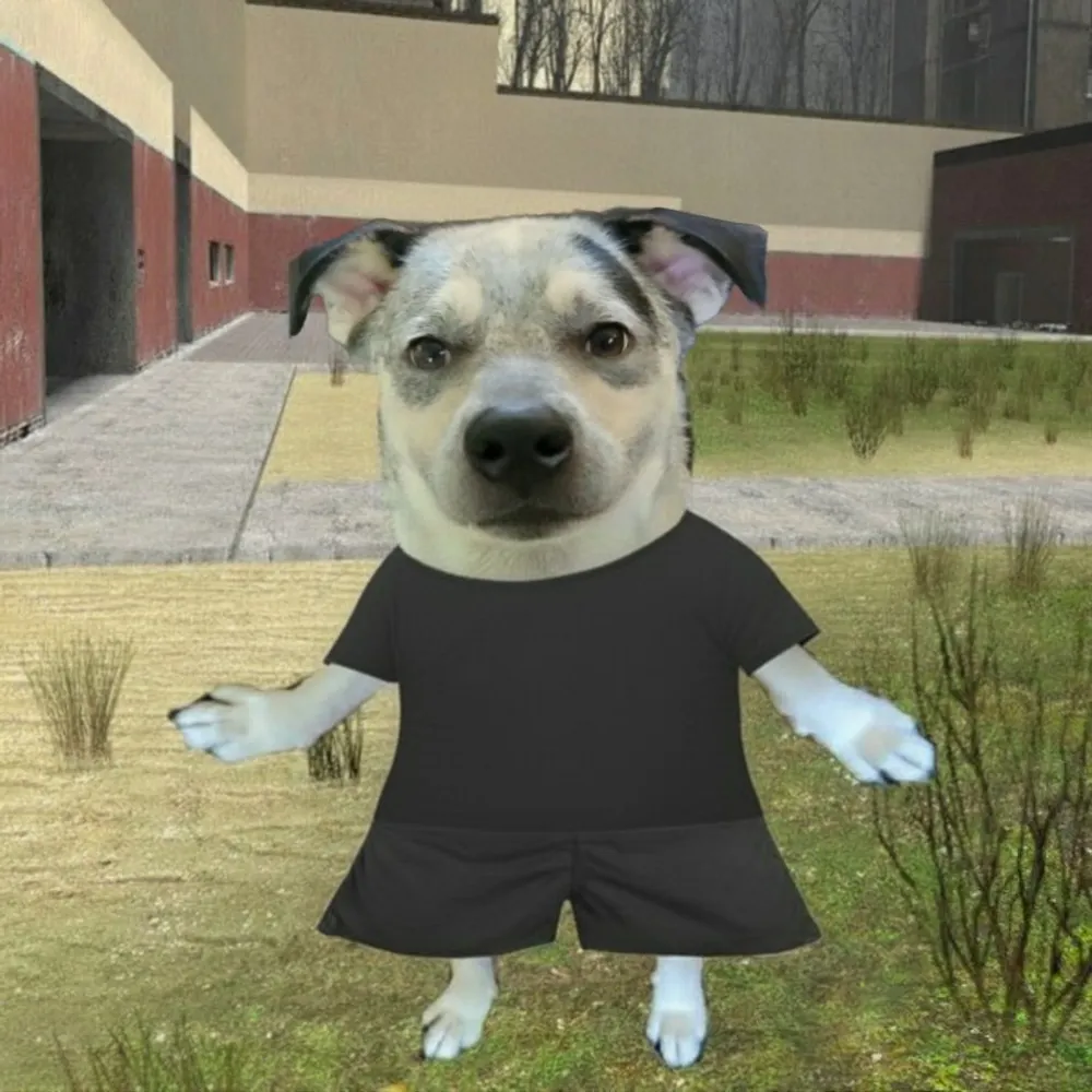 elthiagon.bsky.social's profile picture