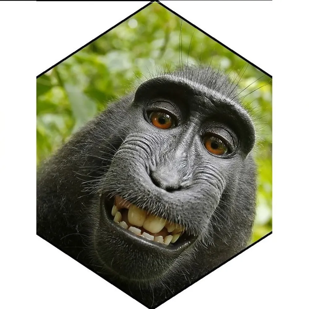 billstewart.bsky.social's profile picture