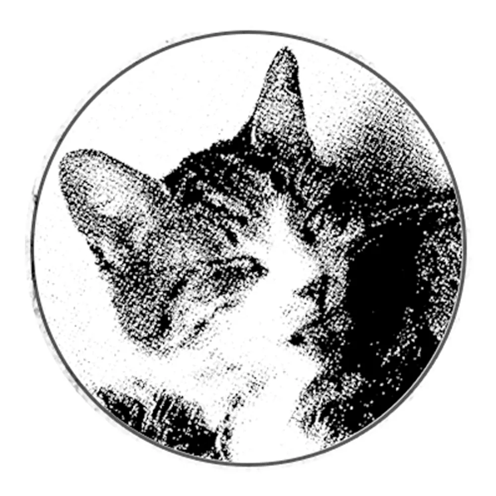 allisonanne.com's profile picture