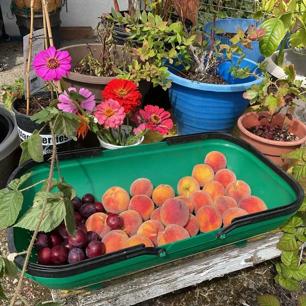 falyvi.bsky.social's profile picture