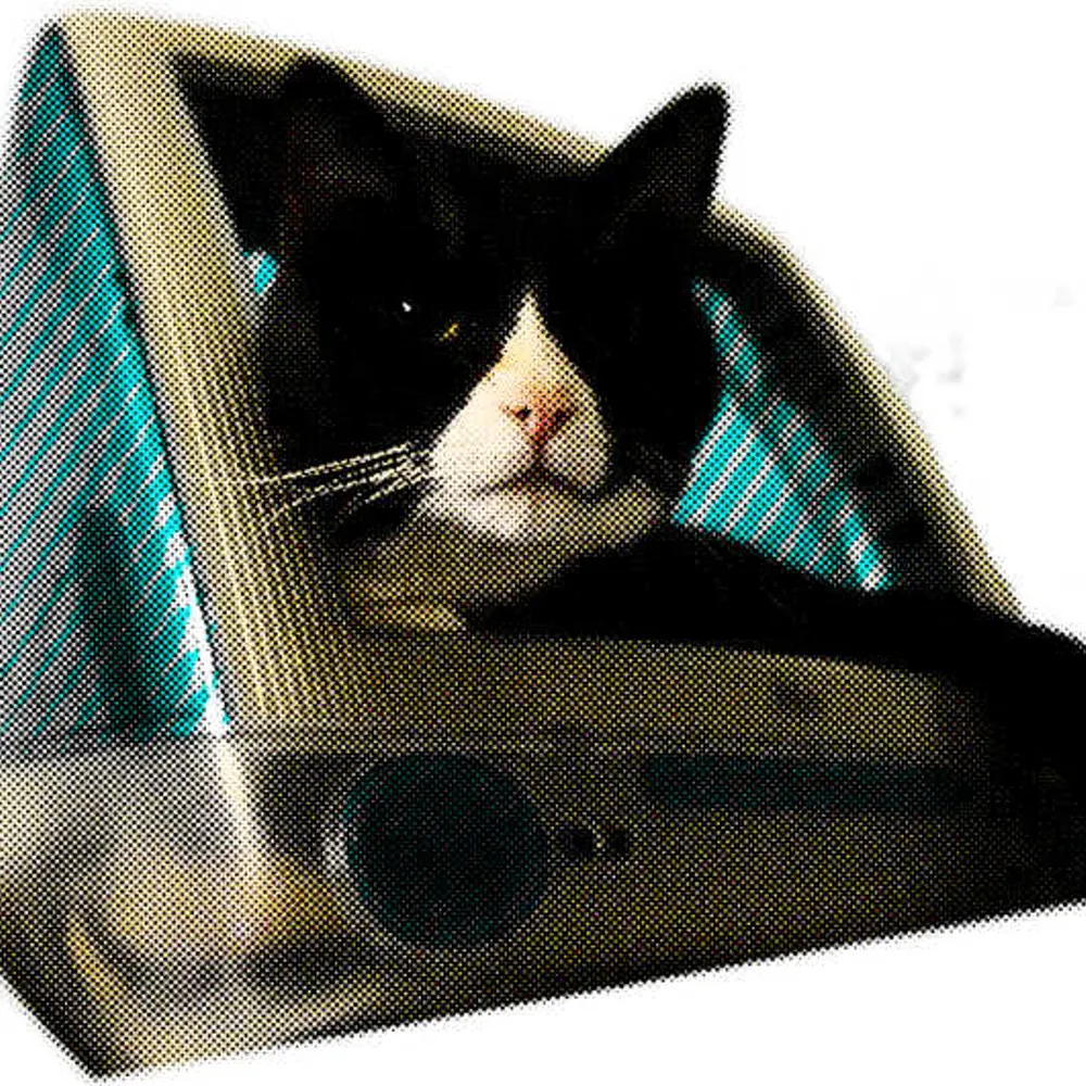 silentcrystaltears.popelore.net's profile picture