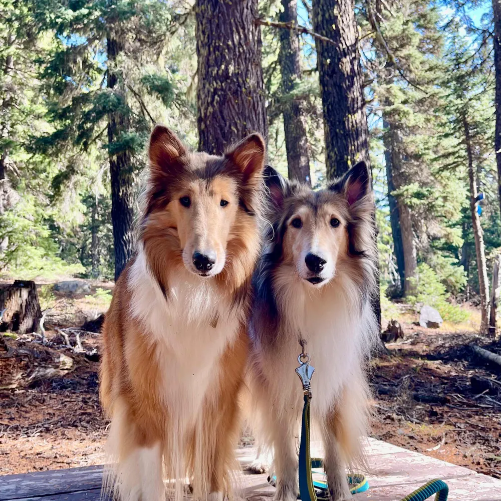 m-doram.bsky.social's profile picture