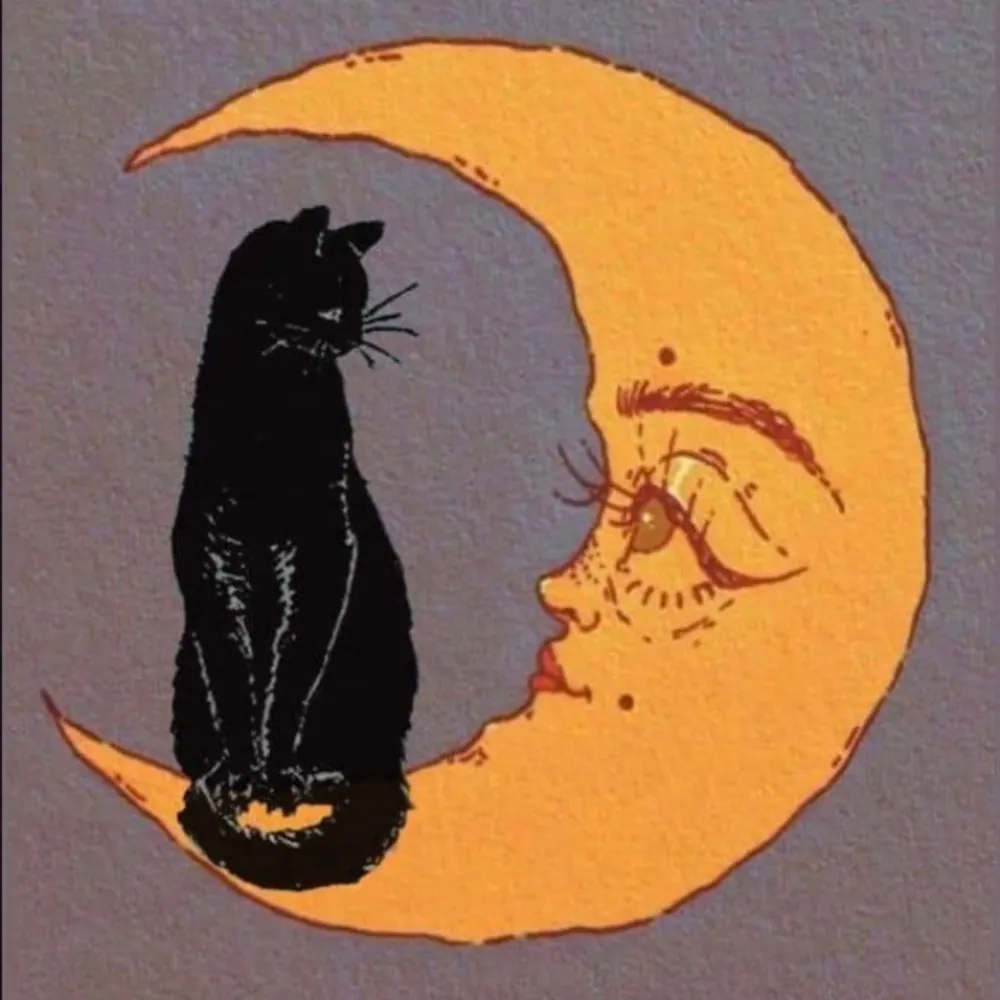 redtexx.bsky.social's profile picture