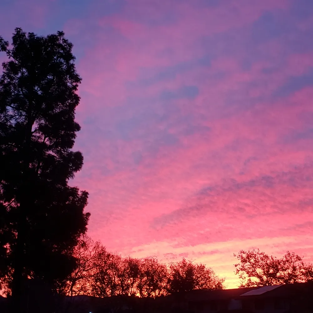 month2taco.bsky.social's profile picture