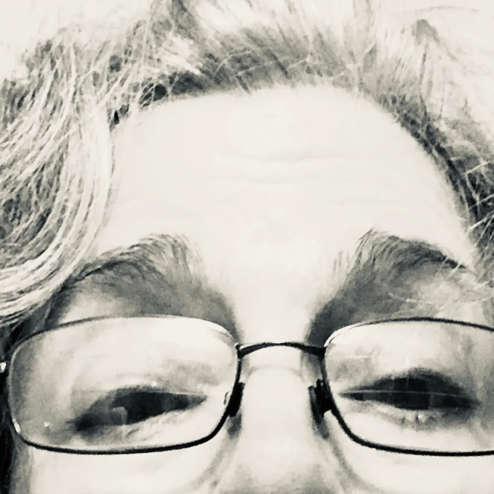 fluxnomad.bsky.social's profile picture