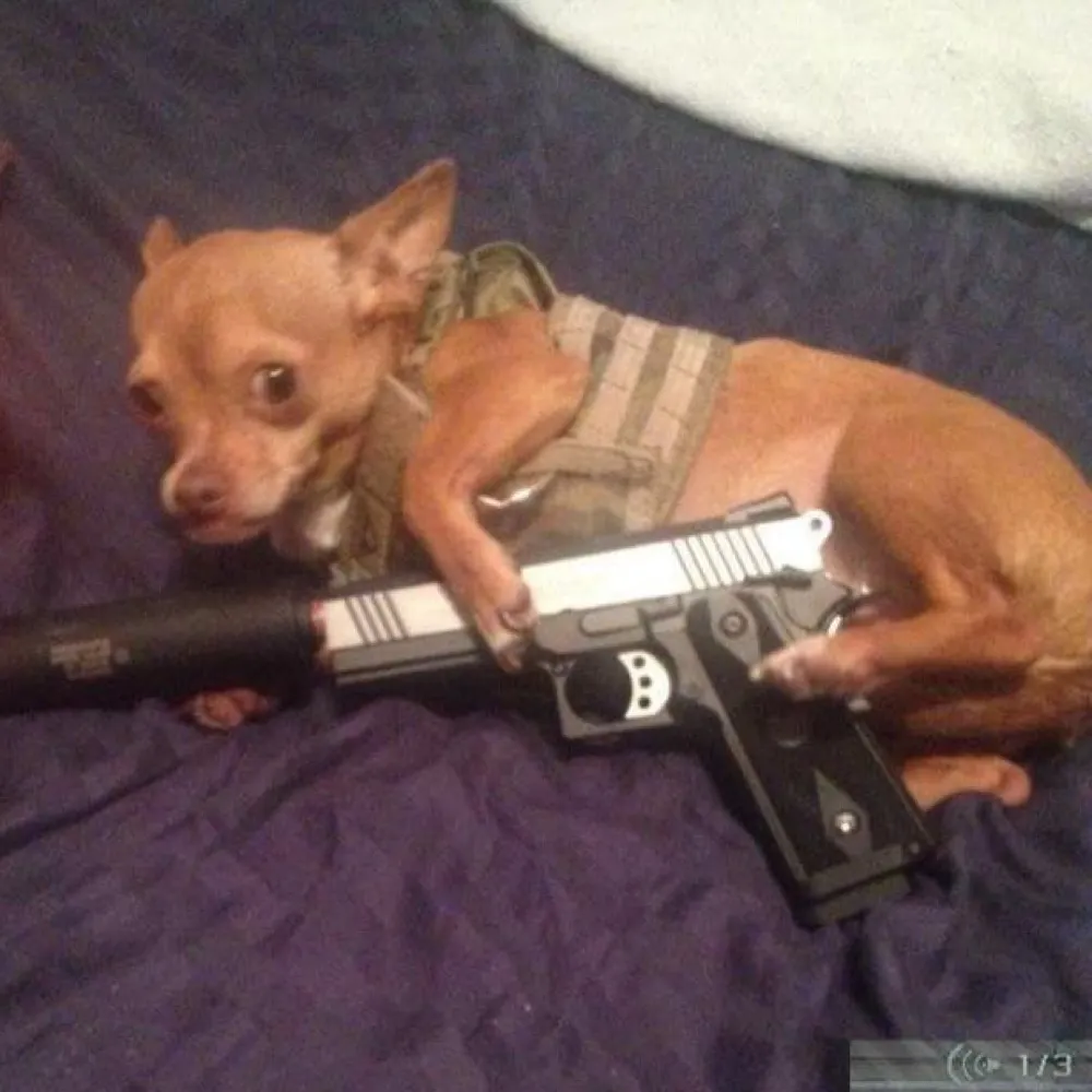 ertrick36.bsky.social's profile picture